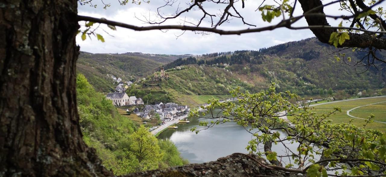 Ferienwohnungen Am Bruttiger Moselsteig Kültér fotó