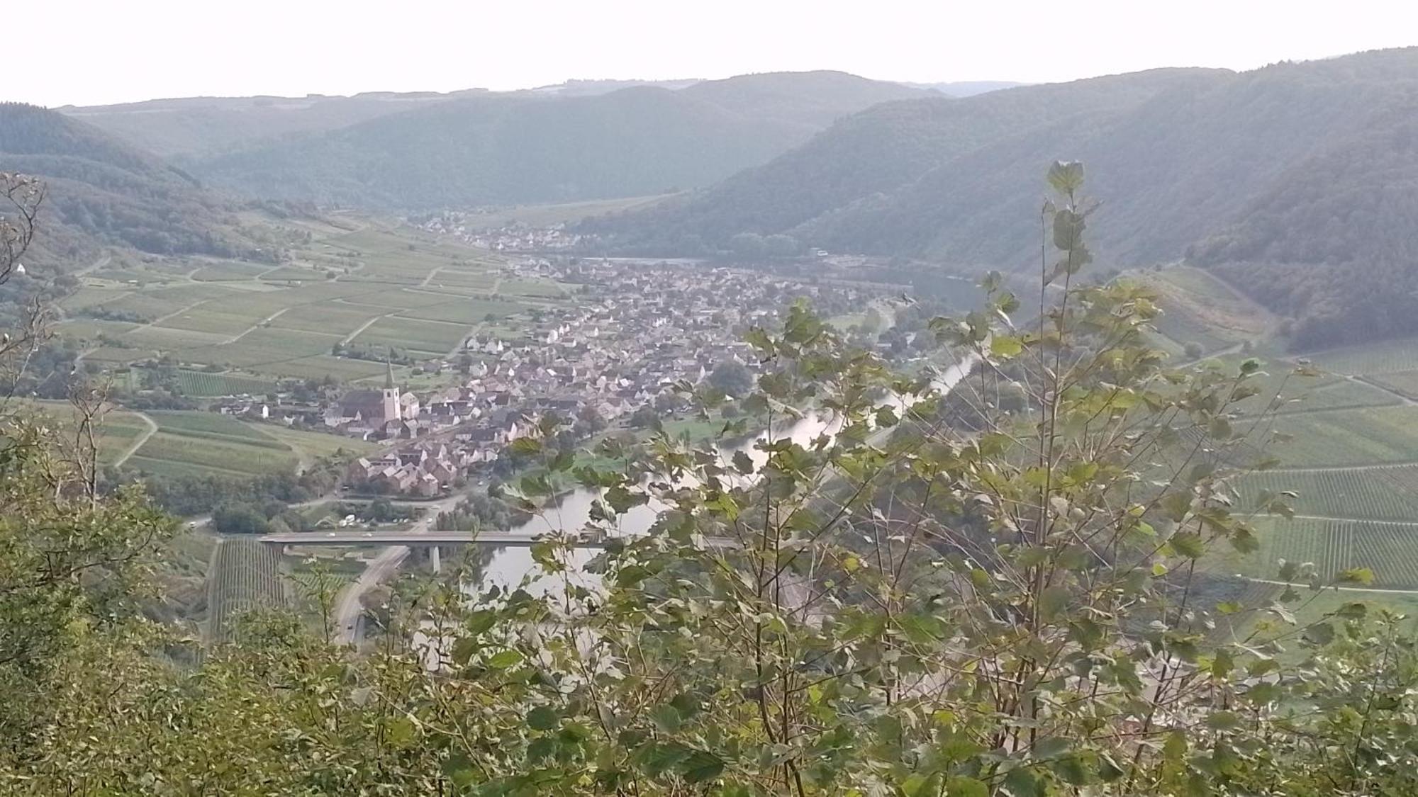 Ferienwohnungen Am Bruttiger Moselsteig Kültér fotó