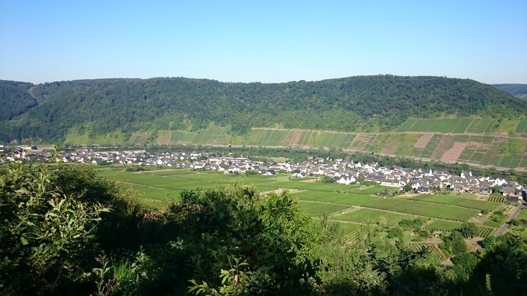 Ferienwohnungen Am Bruttiger Moselsteig Kültér fotó