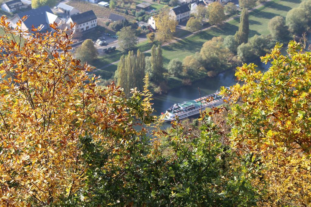 Ferienwohnungen Am Bruttiger Moselsteig Kültér fotó