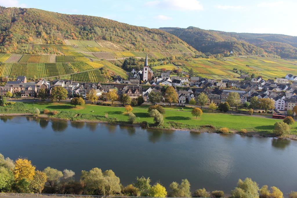 Ferienwohnungen Am Bruttiger Moselsteig Kültér fotó