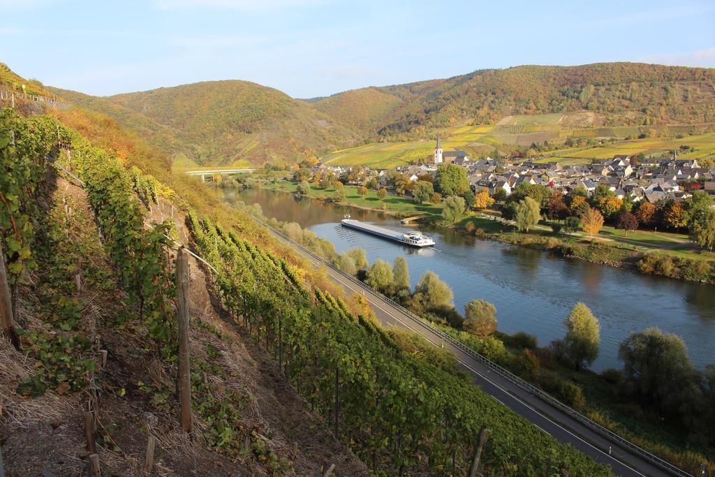 Ferienwohnungen Am Bruttiger Moselsteig Kültér fotó