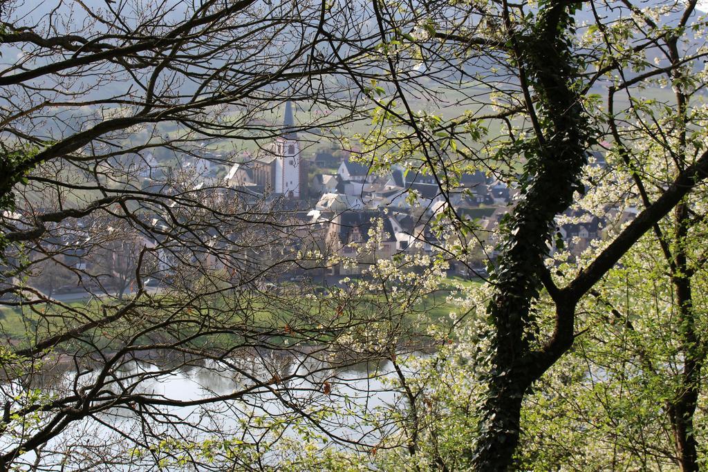 Ferienwohnungen Am Bruttiger Moselsteig Kültér fotó